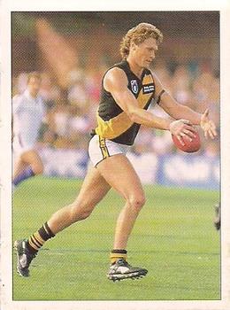 1992 Select AFL Stickers #199 Craig Smith Front